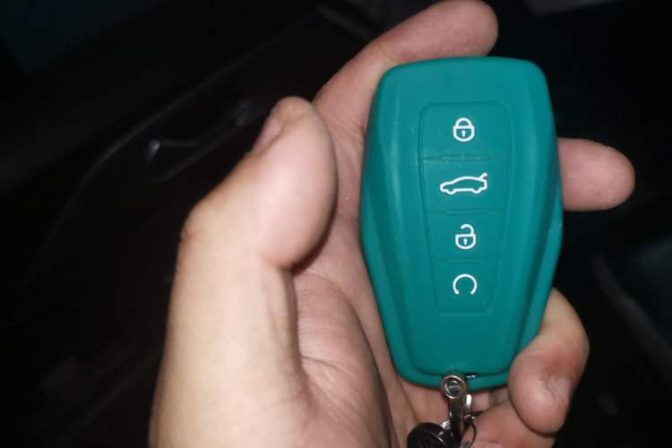 Used Geometry E Firefly 2023 401KM Linglong Tiger 5-Seater Vehicle Key