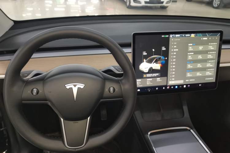 Used Tesla Model Y 2021 Long-Range All-Wheel-Drive Version