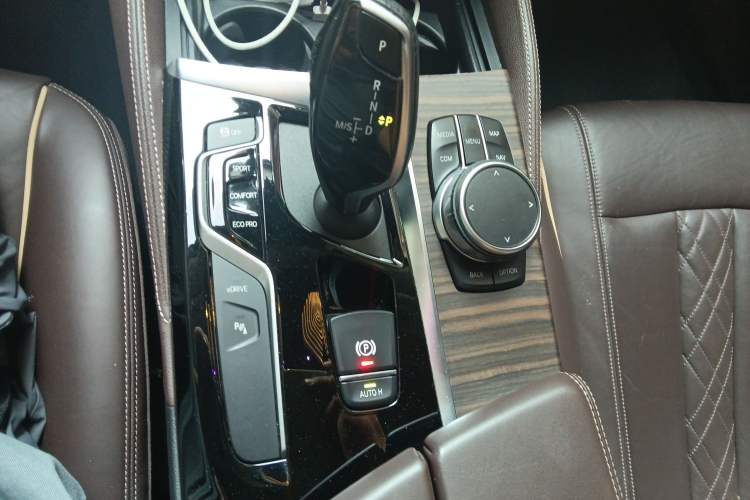 Used BMW 5 Series New Energy 2019 530Le Luxury Package
