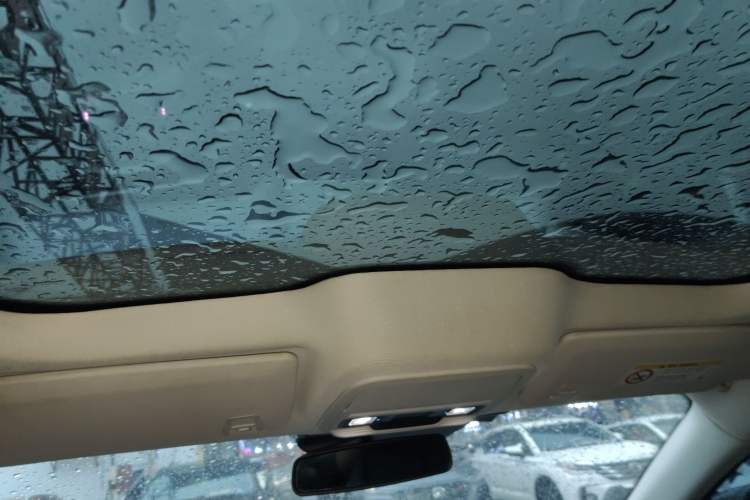 Used Ford Mustang Mach-E 2021 AION Y Plus Rear-Drive Luxury Edition (Long Range) Headliner