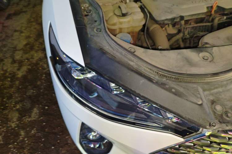 Used Haval F7 2020 1.5T Two-Wheel Drive i-Trend