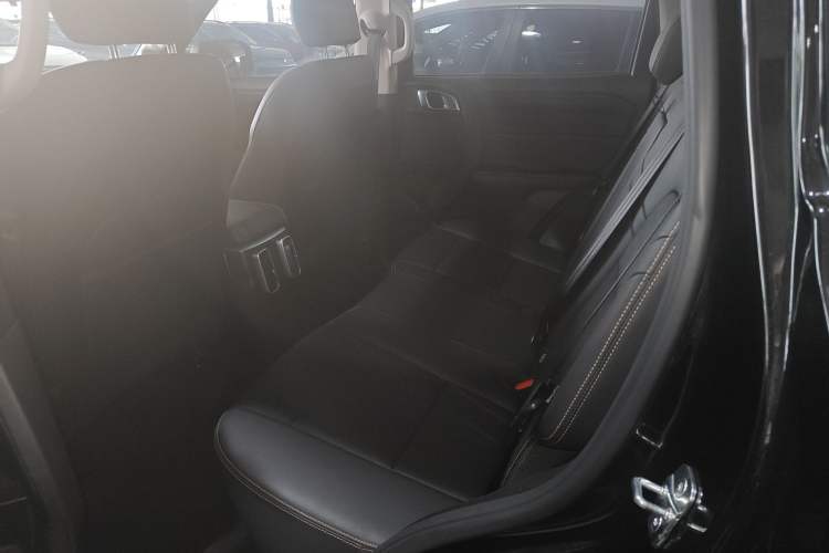 Used Haval DARGO 2024 2.0T DCT Chinese Rural Dog Edition Left Rear Seat