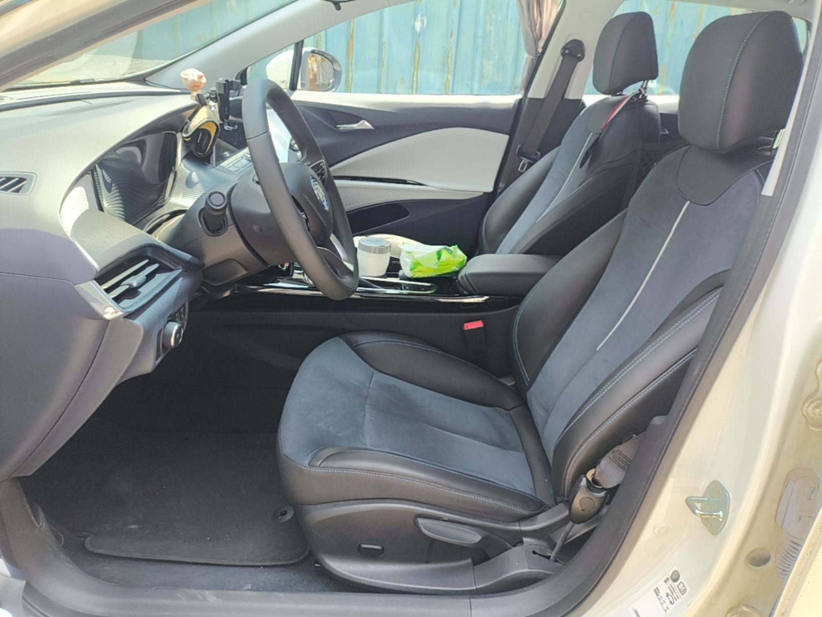 Interior delantero