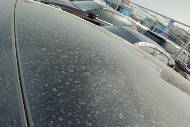 Used Volkswagen Golf 2021 280TSI DSG Pro Roof