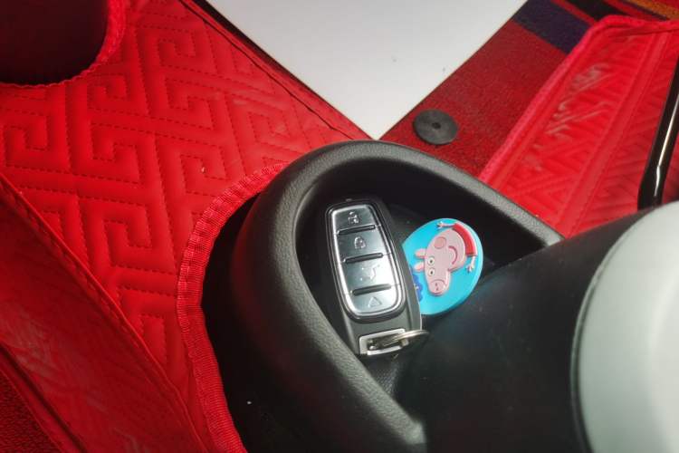 Used ORA Black Cat 2021 301 km Basic Version Vehicle Key