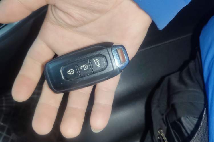 Used Ford Territory 2020 Lingjie S EcoBoost 145 CVT Platinum Edition
