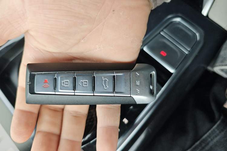 Used Wey Mocha 2021 2.0T Two-Wheel-Drive Ultra-Strong Version
