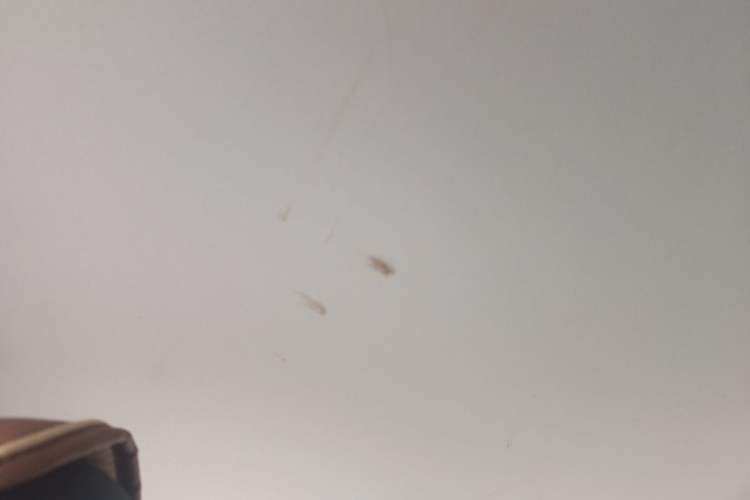 Used Volkswagen Polo 2014 1.4L Manual Fashion Edition