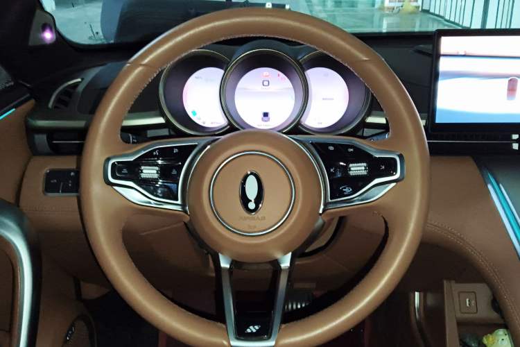 Used ORA Lightning Cat 2022 555 km Luxury Edition