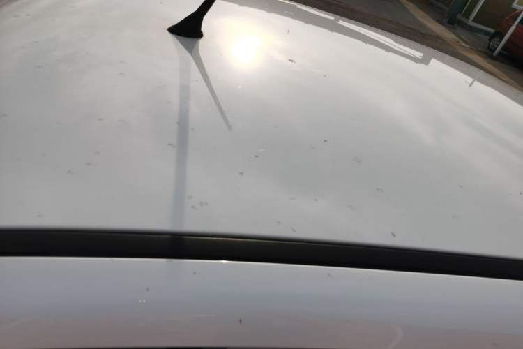 Used Bestune Pony 2024 170km Range Energizing Horse Roof