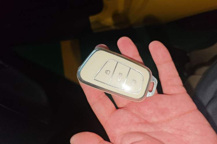 Used Chery Little Ant 2022 Restyled Version Sweet Pink Edition Low-Sugar Version Lithium Iron Phosphate Battery 30.7 kWh 30 kW 301 km Vehicle Key