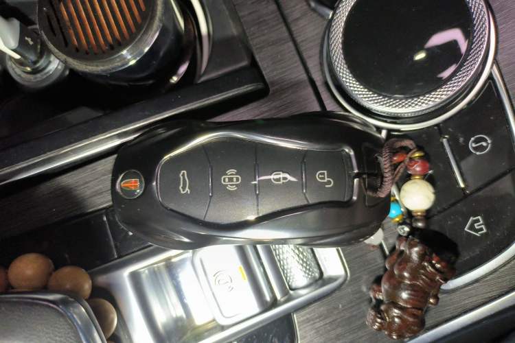 Used Hongqi H9 2023 2.0T Smart Connect Flagship Edition