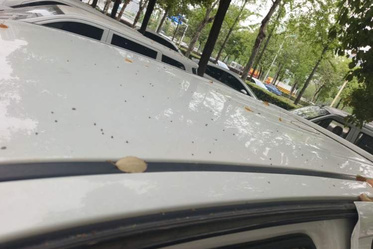 Used Great Wall Wingle 7 2022 2.0T Gasoline Two-Wheel Drive Value Edition Big Double GW4C20B Roof