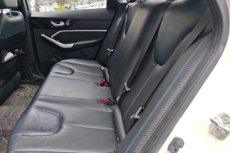 Used Venucia Venucia D60EV 2020 Standard Range Smart Drive Edition