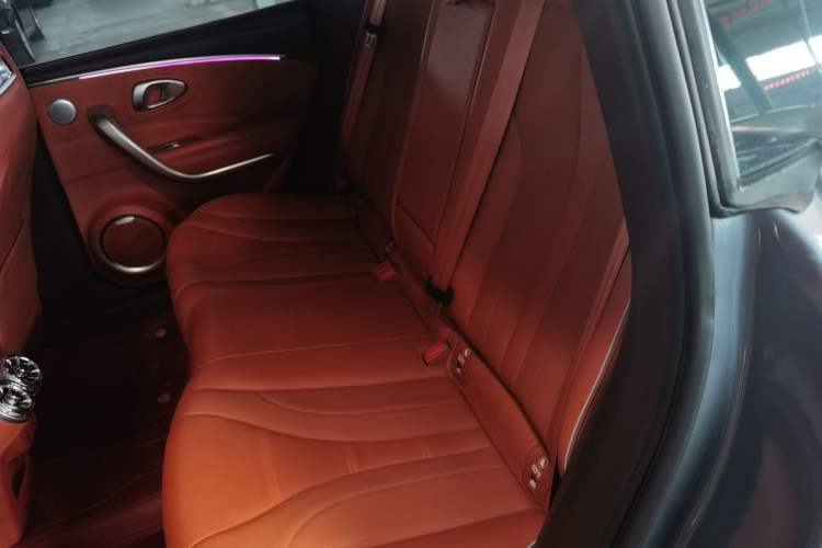 Used ORA Lightning Cat 2022 555 km Luxury Edition
