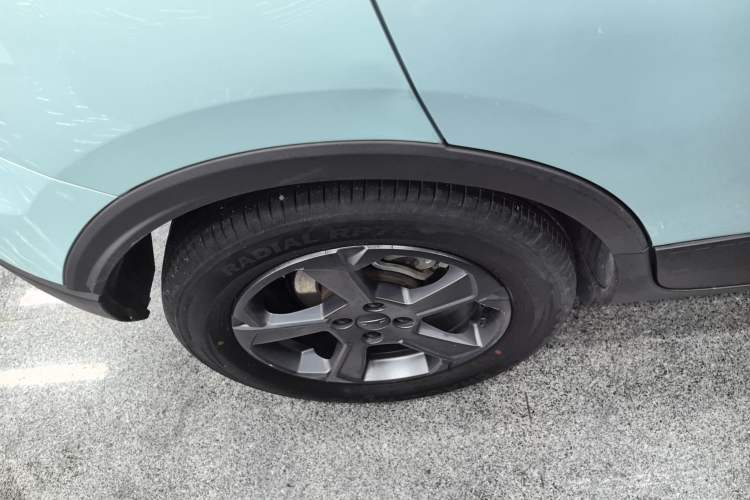 Used Geometry E Firefly 2022 320KM Cute Tiger 4-Seater