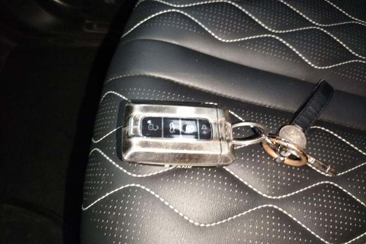 Used Tank 300 2024 2.0T Challenger
