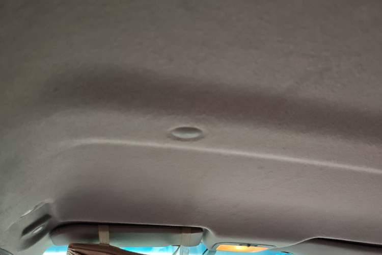 Used JMEV E200L 2018 E200L Standard Model (250 km) Headliner