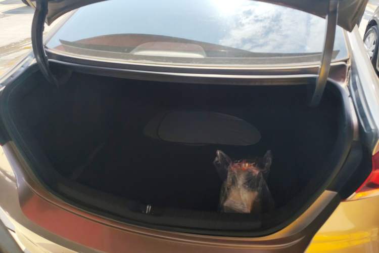 Used Hyundai Elantra (6th Generation / Lingdong) 2016 1.6L Automatic ZhiXuan – Elite Version Trunk