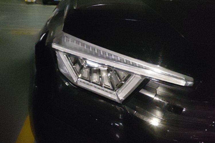 Used Tank 400 2025 2.0T Gasoline Version