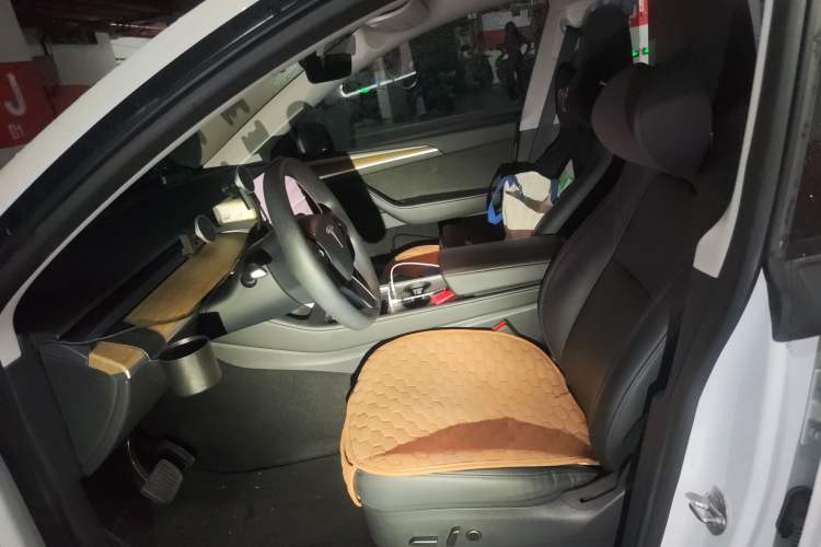 Used Tesla Model Y 2021 Standard Range Rear-Wheel Drive Version
