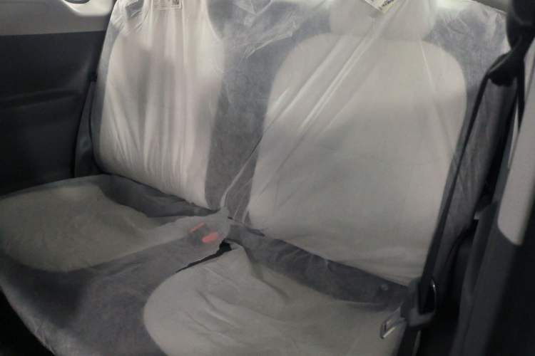 Used Livan Blue Balloon 2025 Model Dynamic Version Left Rear Seat