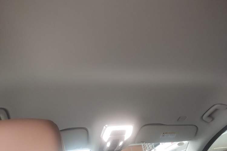 Used Hongqi HQ9 PHEV 2024 2.0T Four-Wheel Drive Business Edition Headliner