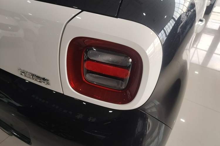 Used ORA Black Cat 2019 351 km Lingzhi Edition
