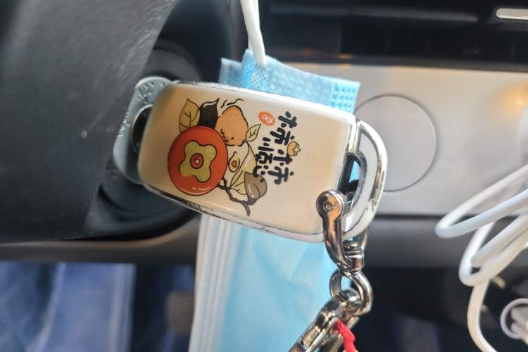 Used Qiyuan Lumin 2023 205km Xiangqin Version
