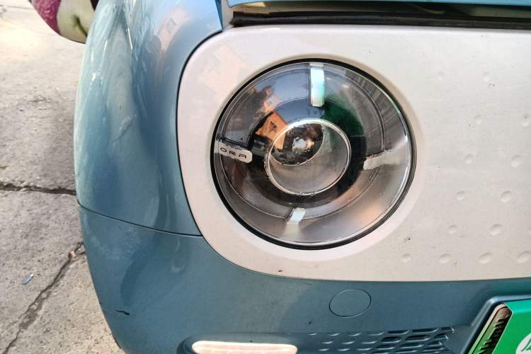 Used ORA Black Cat 2019 351 km Lingzhi Edition