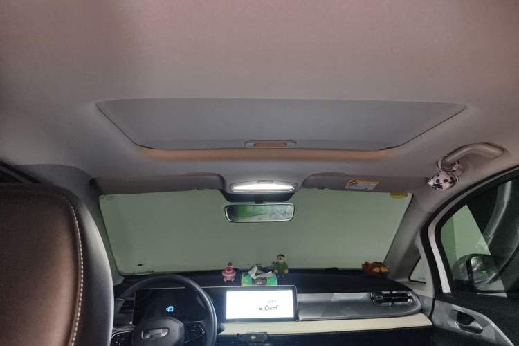 Used Geometry E Firefly 2022 401 km Linglong Tiger 4 Seats Headliner