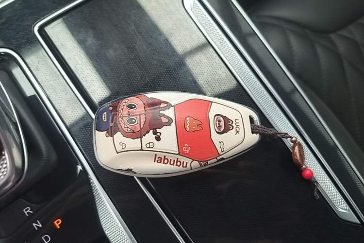 Used Hongqi HS5 2023 2.0T Qixiang Pro Edition