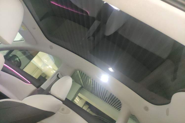 Used IM LS6 2023 Max Standard Edition
