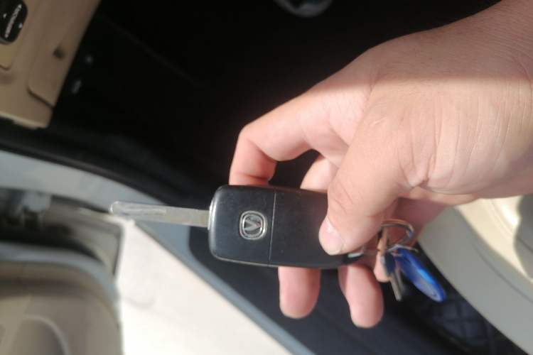 Used CHANGAN Eado New Energy 2016 Pure Electric Deluxe Model
