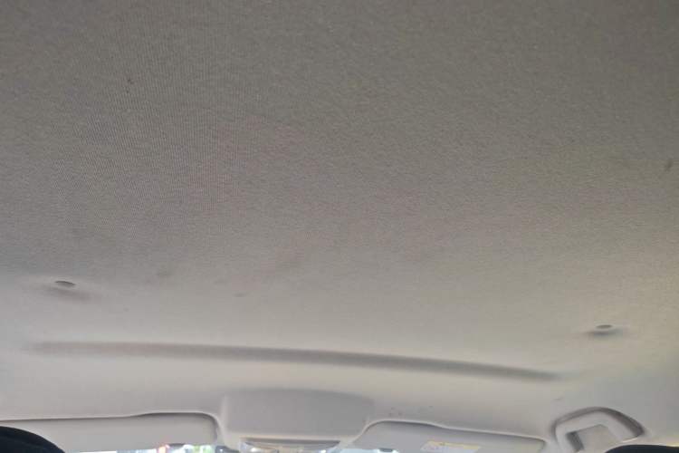 Used Great Wall Poer 2021 2.0T Commercial Version Automatic Diesel 4x4 Elite Long-Box GW4D20M Headliner