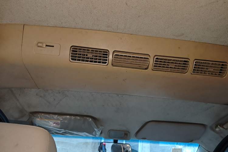 Used Wuling Hongguang 2010 1.4L Standard Version Headliner