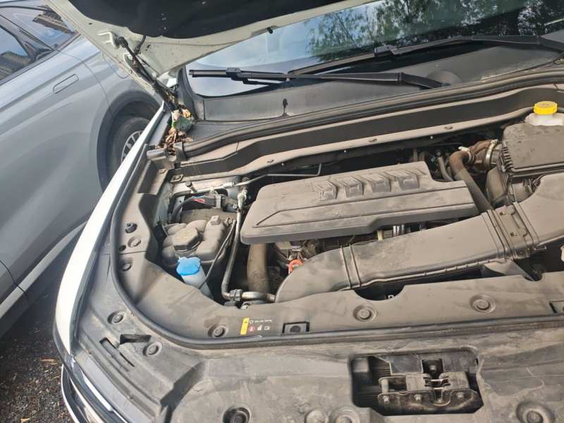 Used Haval H6 2023 National Trend Edition 1.5T Automatic Urban Version — 27