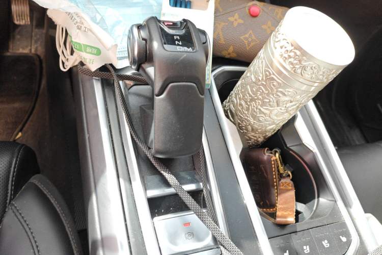 Used Tank 400 New Energy 2023 Hi4-T Super Edition Gear Lever