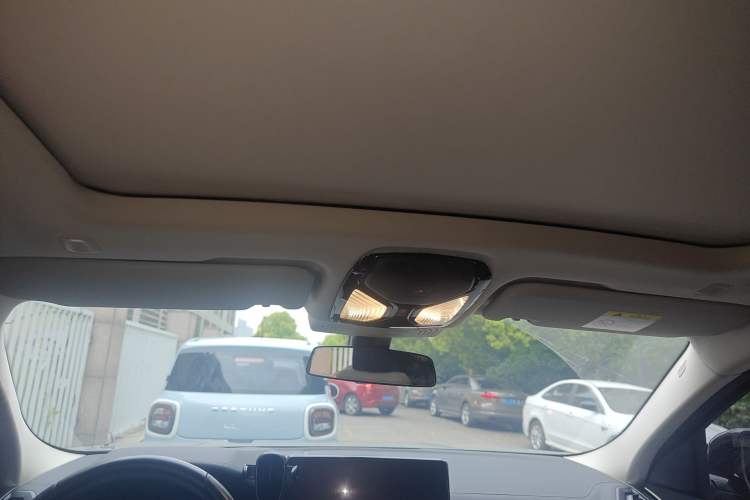 Used BMW X4 2022 xDrive 30i M Sport Package Headliner