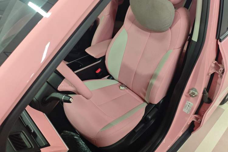 Used NETA V 2021 Witch Edition
