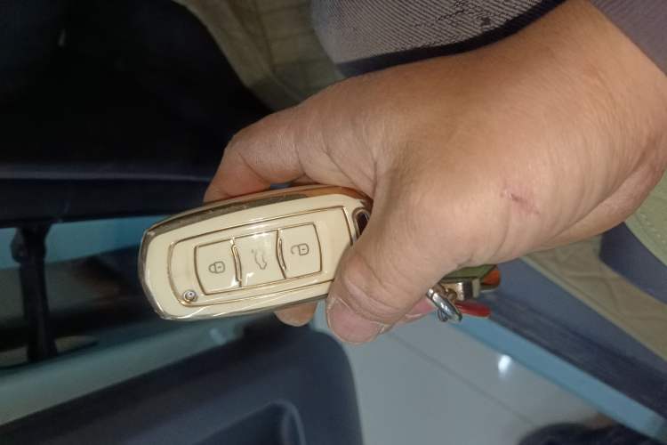 Used Geely Galaxy Panda 2023 Panda Mini 200km Endurance Bear
