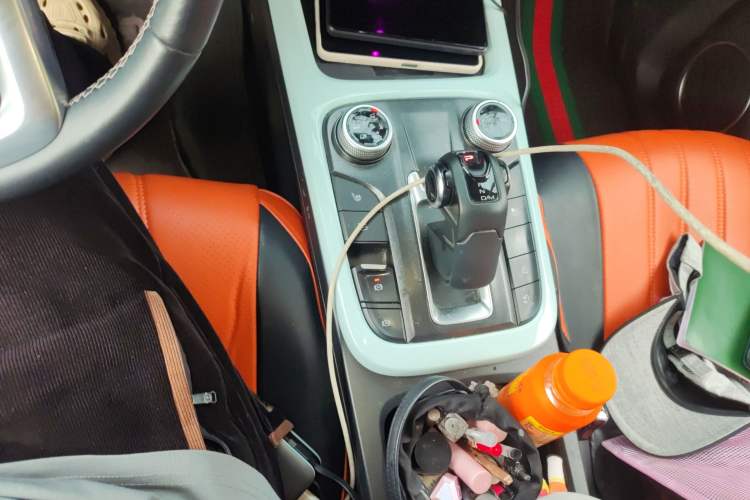 Used Tank 300 2021 City Edition 2.0T—Truly Stylish Gear Lever