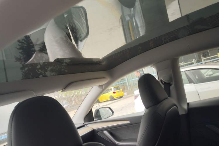 Used Tesla Model Y 2022 Revised Version Rear-Wheel Drive
