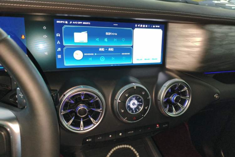 Used Tank 300 2024 2.0T Conqueror
