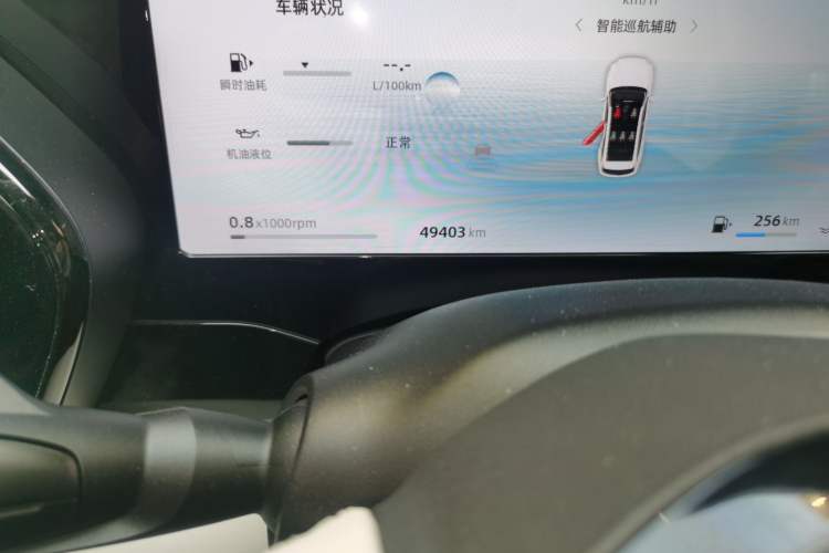 Used Geely Auto Monjaro L 2024 2.0TD High-Power Automatic Two-Wheel Drive Yunqi Version