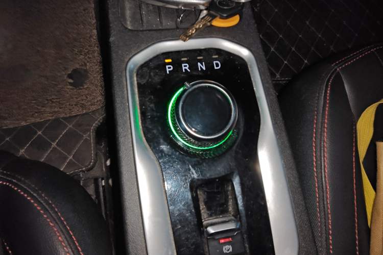 Used Dayun Yuehu 2021 32.85 kWh Two-Wheel-Drive Sprite Version Gear Lever