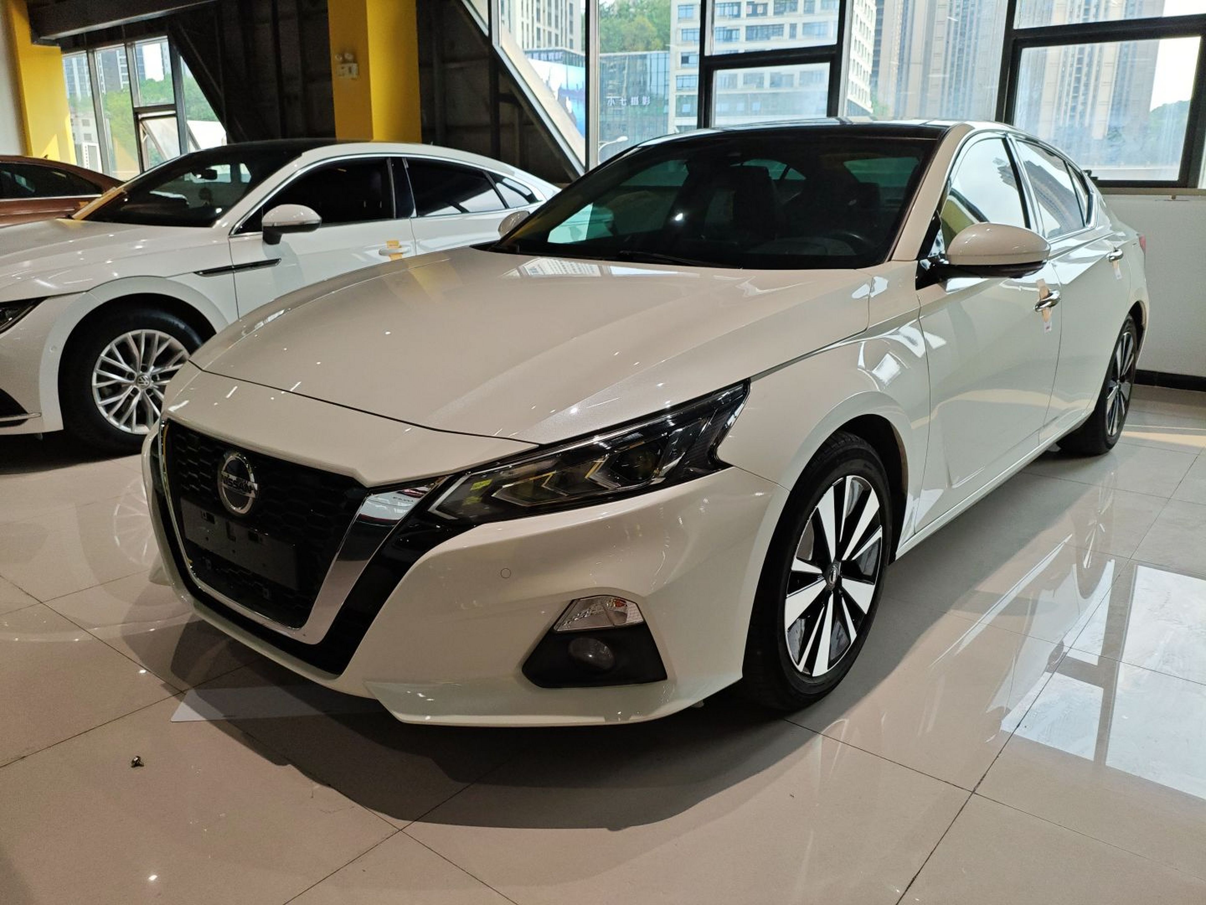 Parte inferior delantera