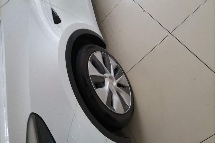 Used Tesla Model Y 2021 Standard Range Rear-Wheel Drive Version
