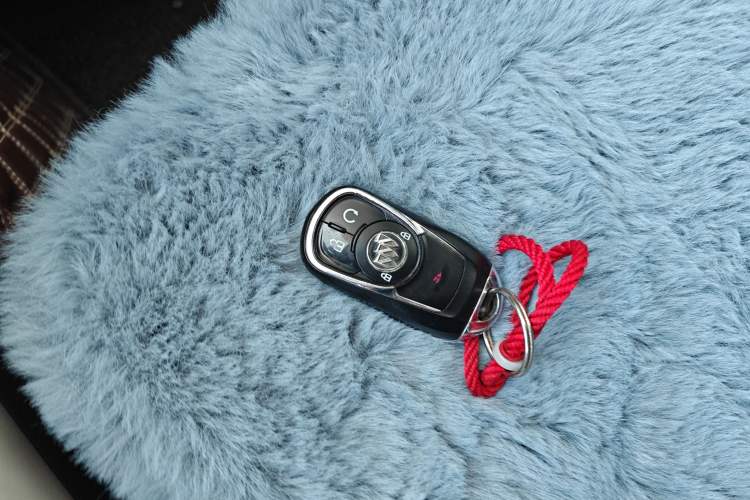 Used Buick VELITE 5 2017 Stylish Extended-Range Model
