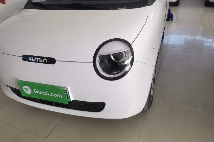 Used Qiyuan Lumin 2023 205km Xiangqin Version
